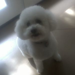 Meet your Posher, Nancy